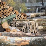 Le bois n'est pas suffisamment valorisé en Suisse et en Valais.